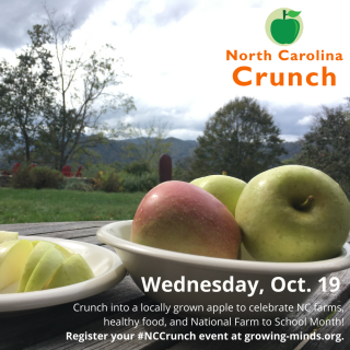 NC_Crunch_Oct_19_2022.png - image