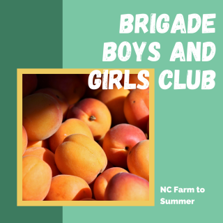 Brigade Boys and Girls Club - image