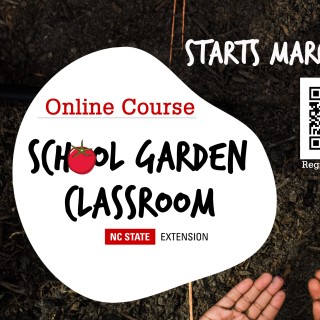 SchoolGarden_Photo_Promo.jpg - image