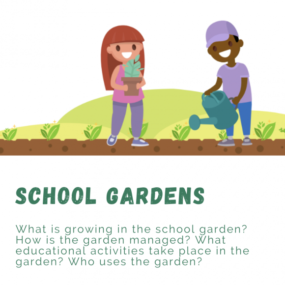 F2S School Gardens